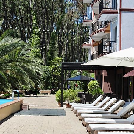 Iveria Elli Hotel Shekhvetili Esterno foto
